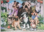 Puzzle 1000 Chiens